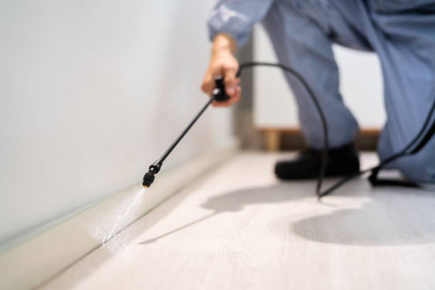 Best Pest Control for Businesses  in Bourbon, IN
