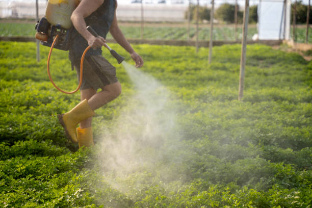 Best Pest Removal Services  in Bourbon, IN