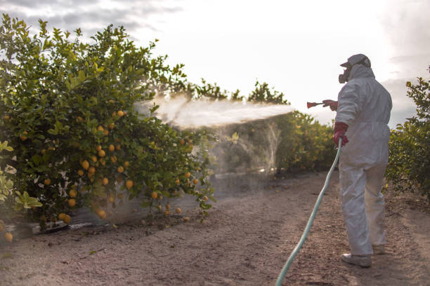 Pest Prevention Services in Bourbon, IN