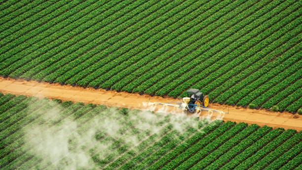 Best Best Pest Control Companies  in Bourbon, IN