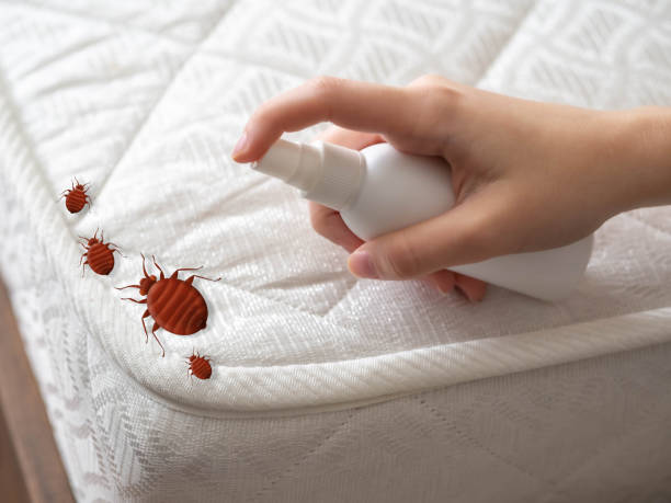 Best Exterminator Services  in Bourbon, IN